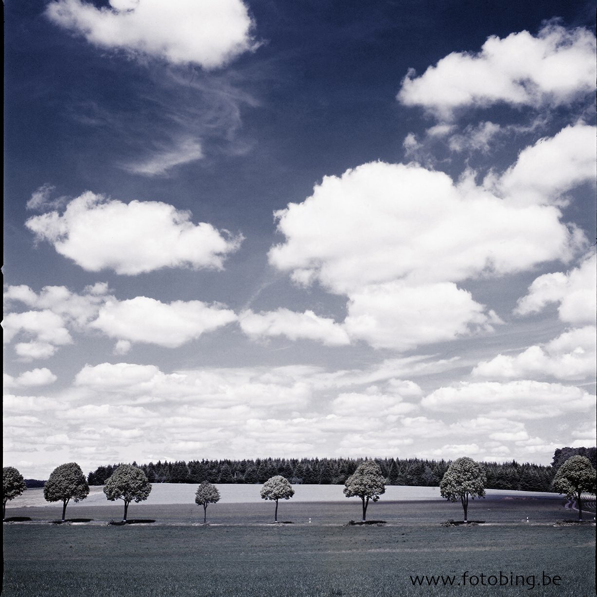 110612 F 05 Old Color G+ 110612 F 05 Old Color G+
